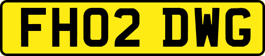 FH02DWG
