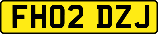 FH02DZJ