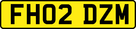 FH02DZM