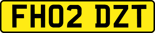 FH02DZT