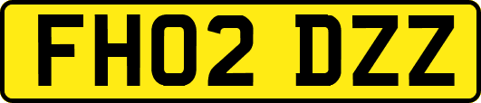 FH02DZZ