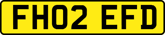 FH02EFD