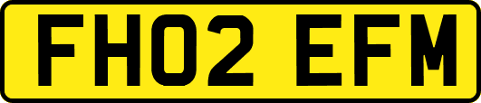 FH02EFM