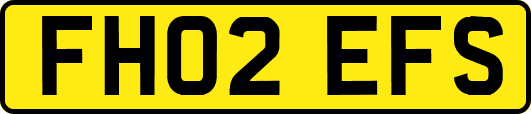 FH02EFS