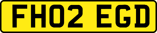 FH02EGD