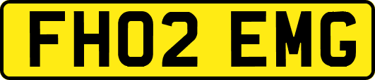 FH02EMG