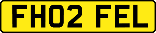 FH02FEL