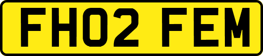 FH02FEM