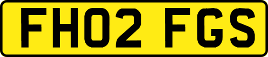 FH02FGS