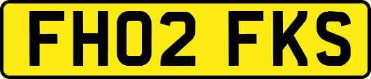 FH02FKS