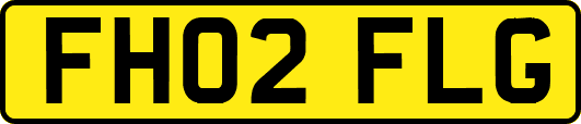 FH02FLG