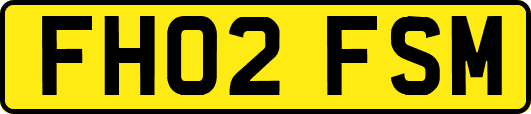 FH02FSM