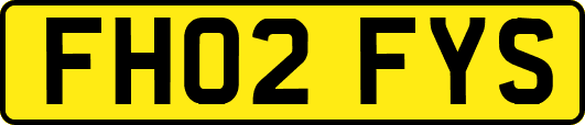 FH02FYS