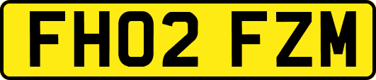 FH02FZM
