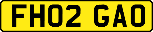 FH02GAO