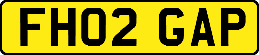 FH02GAP