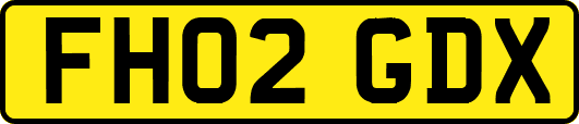 FH02GDX