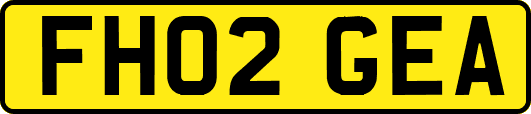 FH02GEA