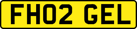 FH02GEL
