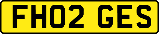 FH02GES