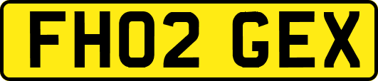 FH02GEX