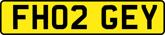 FH02GEY