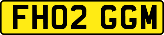 FH02GGM