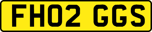 FH02GGS