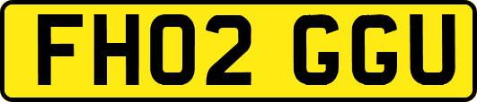 FH02GGU