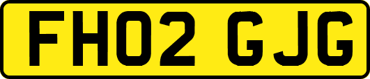 FH02GJG
