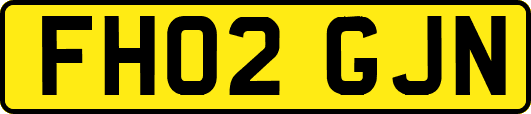 FH02GJN