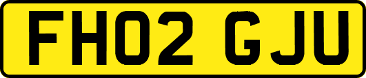 FH02GJU