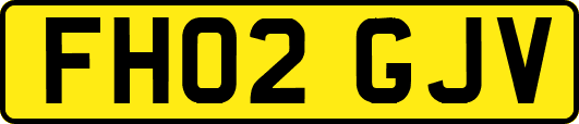 FH02GJV