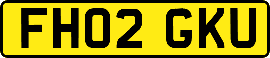 FH02GKU