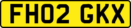 FH02GKX
