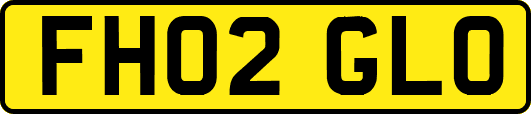 FH02GLO