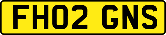 FH02GNS