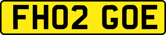 FH02GOE