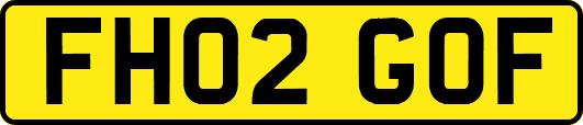 FH02GOF