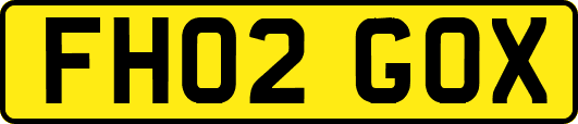 FH02GOX