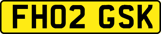 FH02GSK