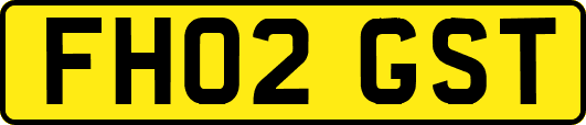 FH02GST