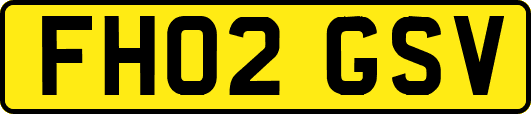 FH02GSV