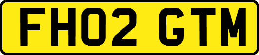 FH02GTM