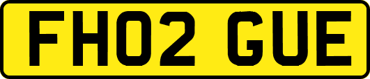 FH02GUE