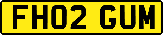FH02GUM
