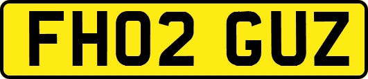 FH02GUZ