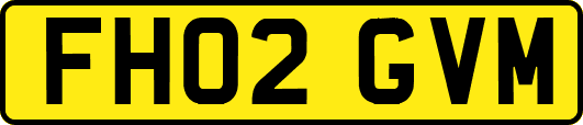 FH02GVM