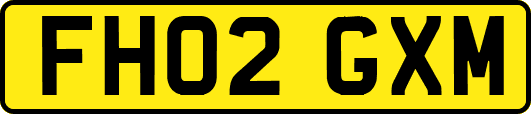 FH02GXM
