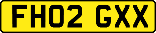 FH02GXX